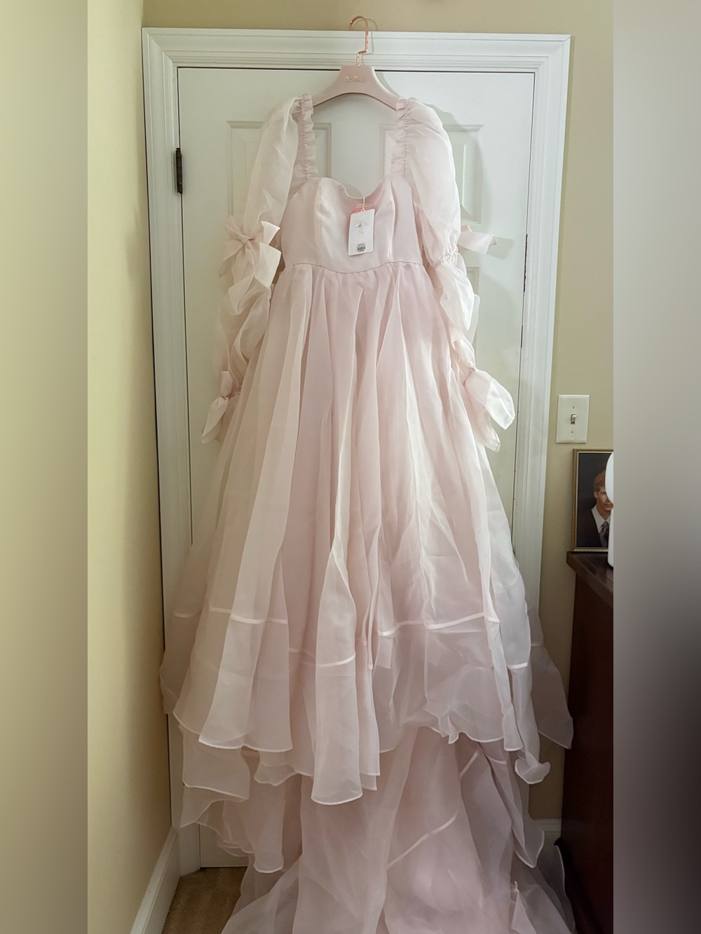 Selkie Capulet gown blush Small - Picture 1 of 2